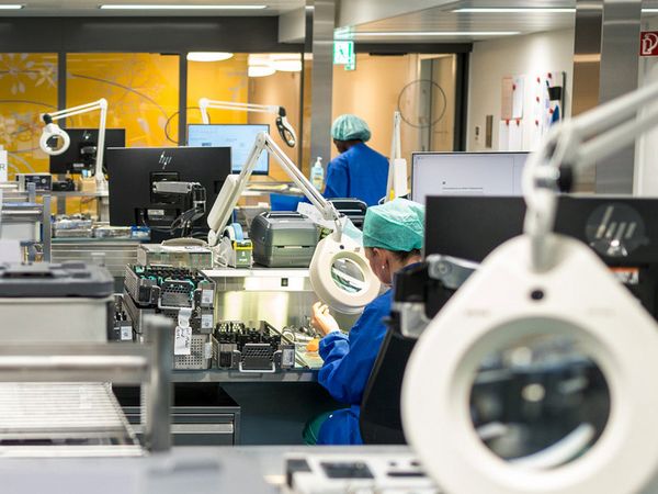 Neue «Steri» ist in Betrieb
