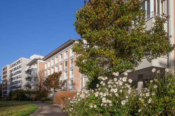 Aussenansicht des Kantonsspitals Schaffhausen mit Grünflächen und einem Baum im Vordergrund.